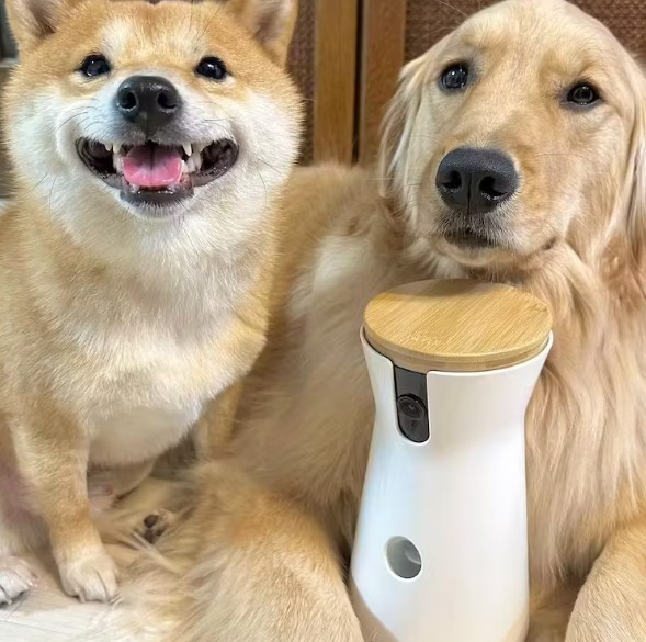 Furbo ドッグカメラがおすすめの人